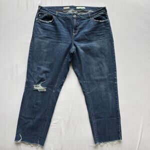 Anthropologie Pilcro Relaxed Straight Fit High Rise Distressed Jeans 18 W Womens